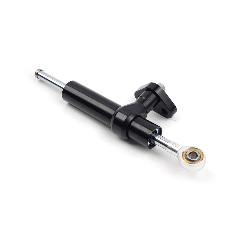 FOR CFMOTO Steering Damper Dir - Motorcycle Gear Airbag 리뷰 및 가격